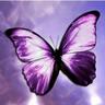 cyndi lagasse's profile picture