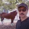 IMAD HADDAD 的头像