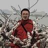 六六 的头像