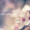 مشاعل المعيقل's profile picture
