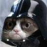 samuel pupino's profile picture