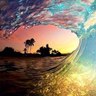 Фото профиля Alan Schroeder