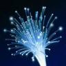 EU TechComp's profile picture