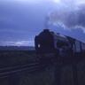 GrumpyScot profil fotoğrafı