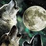 Wolf Moon profil fotoğrafı