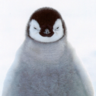 Profilbild von Siddharth Tyagi
