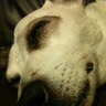 John Rowlands's profile picture