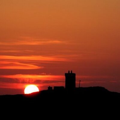 SunnyMalinHead's profile picture