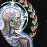 Фото профиля Yibbida