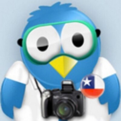Puconino's profile picture