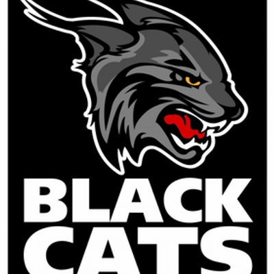 The Black Cats's profile picture