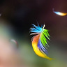 Фото профиля abdullah alharbi