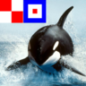 ほいほい丸船長's profile picture