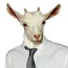 Profilbild von PJDowen