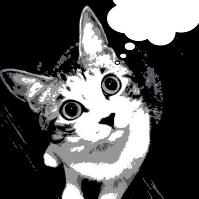 chatoran299's profile picture