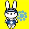 こぐま profil fotoğrafı