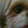 Profilbild von Lee Davies