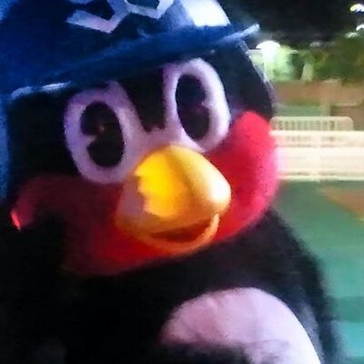 Lucas's profile picture