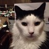 Robin Q's profile picture