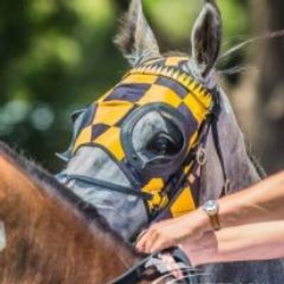 Darren Parkin's profile picture