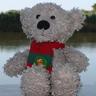 Jane Wardman's profile picture