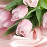 أنفال's profile picture