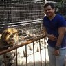 Reynaldo's profile picture
