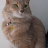 margotanako profil fotoğrafı