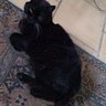 Isabo's profile picture