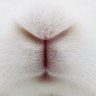 Profilbild von ふすふす