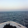 صالح العلبان profil fotoğrafı