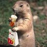 おさぴぃ's profile picture