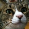 Profilbild von ABUJUN