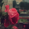 سحاب profil fotoğrafı
