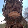 A.Bernal's profile picture