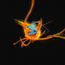 Profilbild von Lxxyx