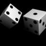 Miodrag's profile picture