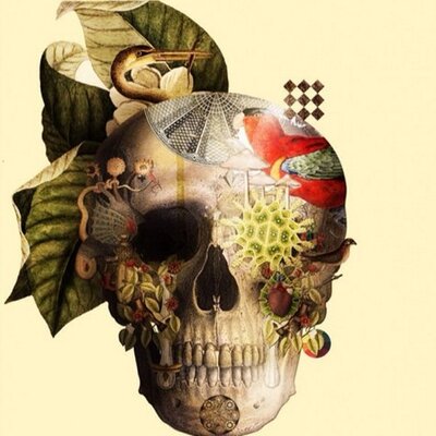 Laprisamata's profile picture