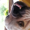 Profilbild von Ricardo
