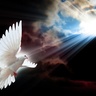 alfajar770 profil fotoğrafı
