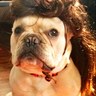 Ron Mexico profil fotoğrafı