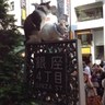 ゆたぴん profil fotoğrafı