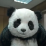 Profilbild von LazyPanda
