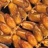 Profilbild von عبد الرؤوف
