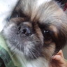 濃い味 profil fotoğrafı