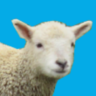 Profilbild von ツジ