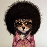 Brady Doyle's profile picture