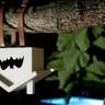 Bat&Man profil fotoğrafı
