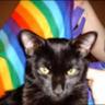 frog4gtc's profile picture