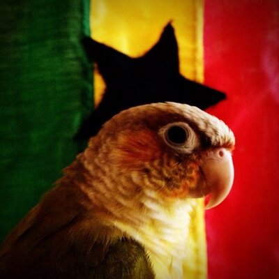 thunderkilla's profile picture
